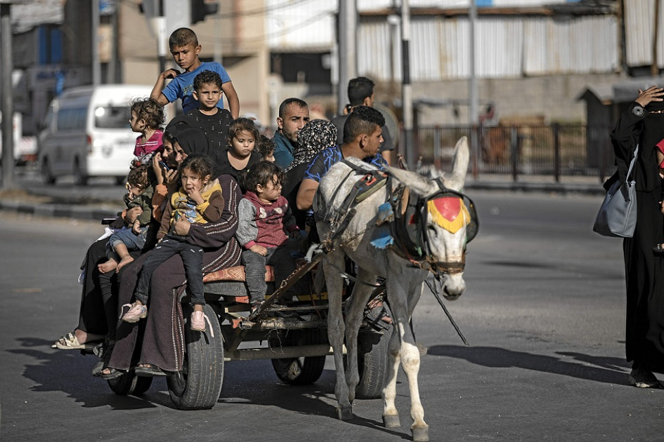 Los carros tirados por burros o los mismos burros son ahora la única alternativa de transporte en Gaza.