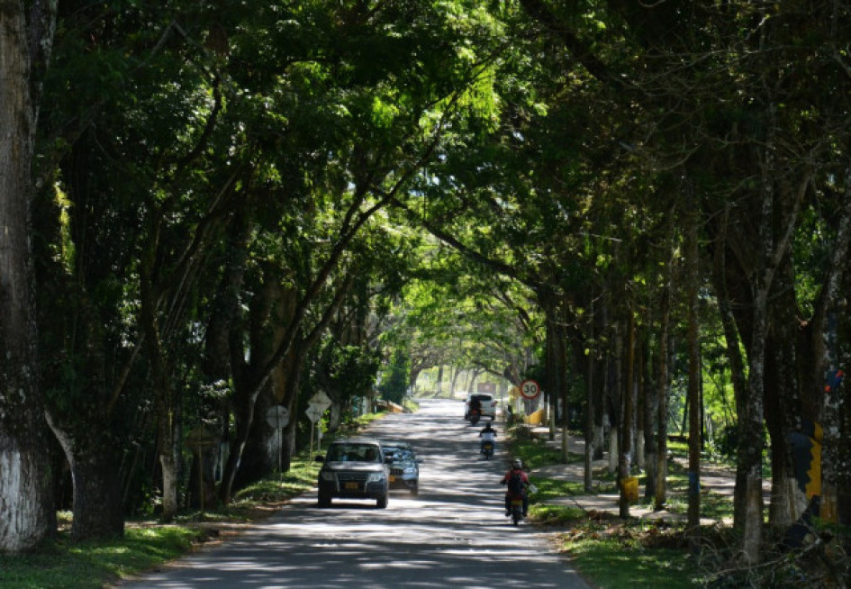 Viterbo reporta su primer caso de persona quemada por pólvora