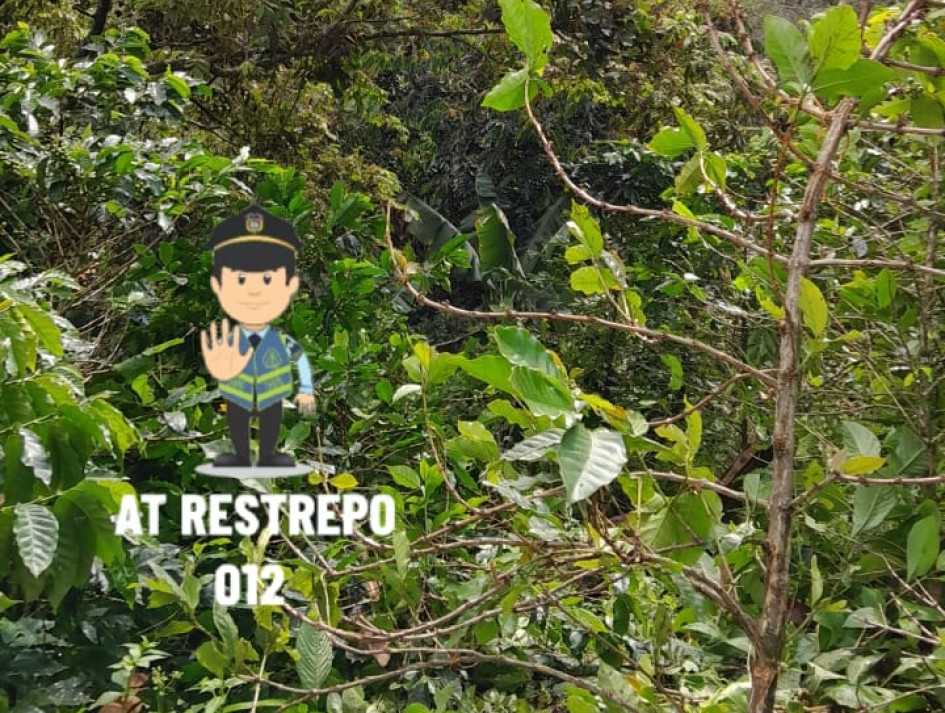 Accidente en la vereda Tapias de Neira