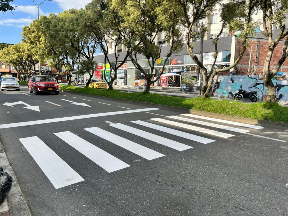La cebra amaneció pintada en la avenida Santander de Mainzales. 