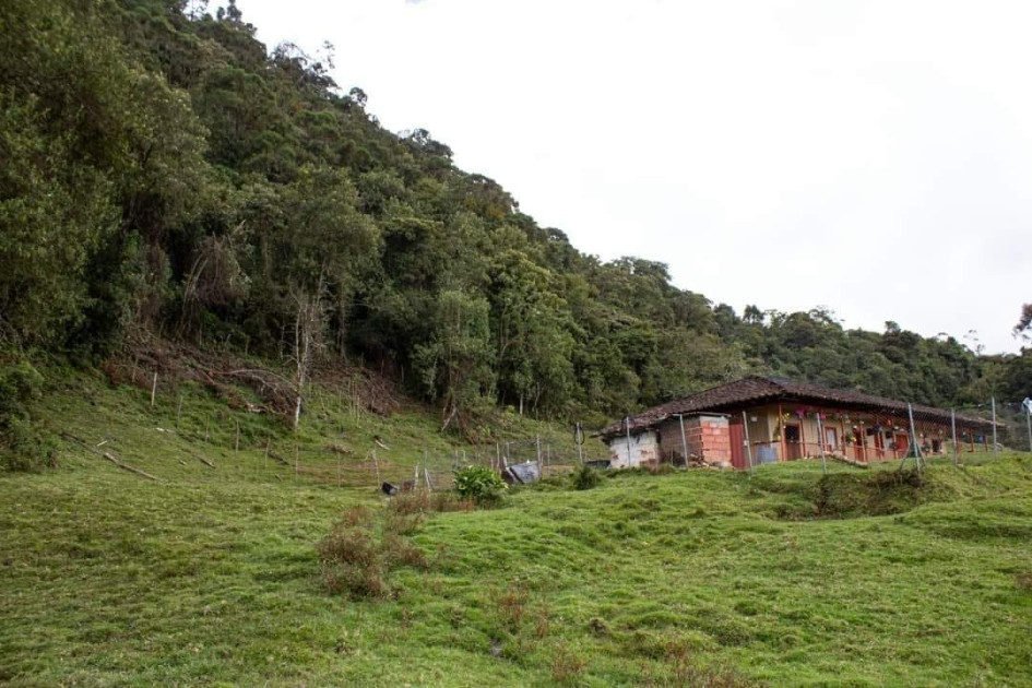 22 hectáreas para proteger el río Oro compró la Gobernación de Caldas.