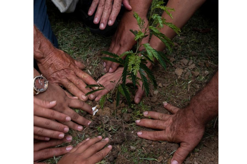 Ministra de Ambiente alerta de posible aumento de deforestación en Caquetá