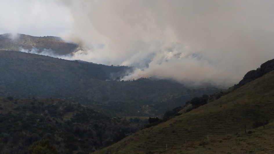 Incendio de cobertura vegetal en el PNN Los Nevados