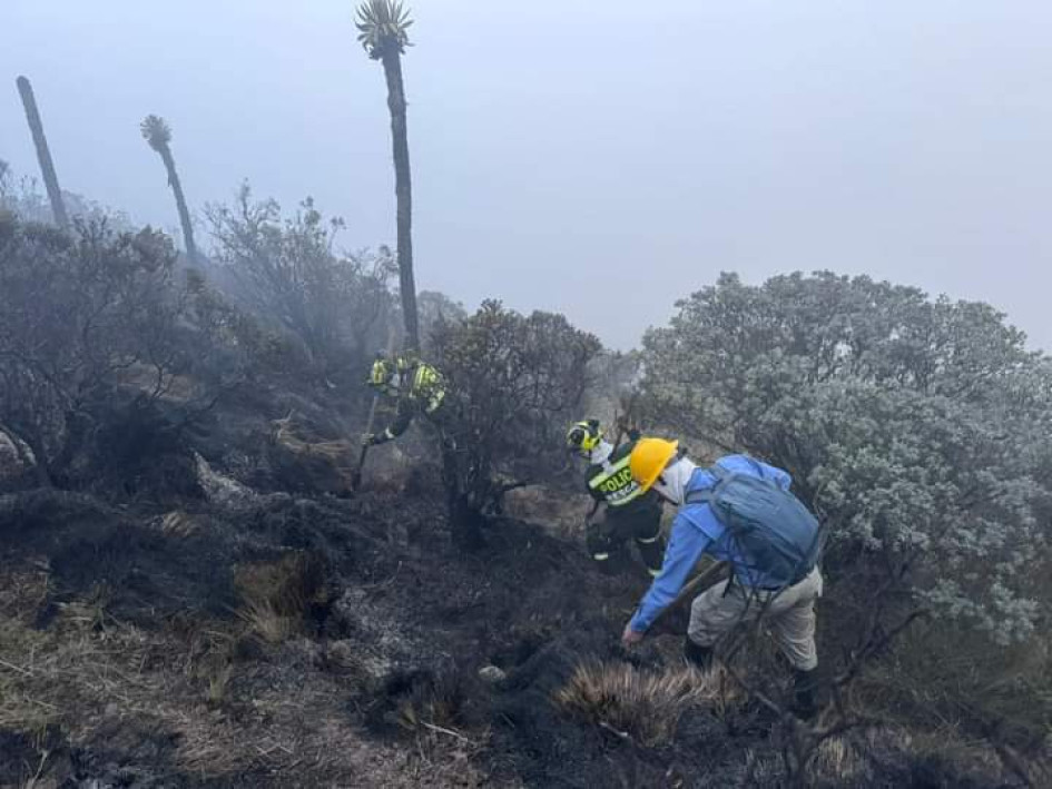 La conflagración lleva ya un día activa.