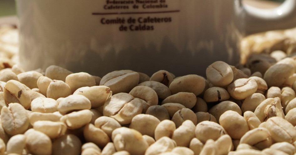 Comité de Cafeteros de Caldas