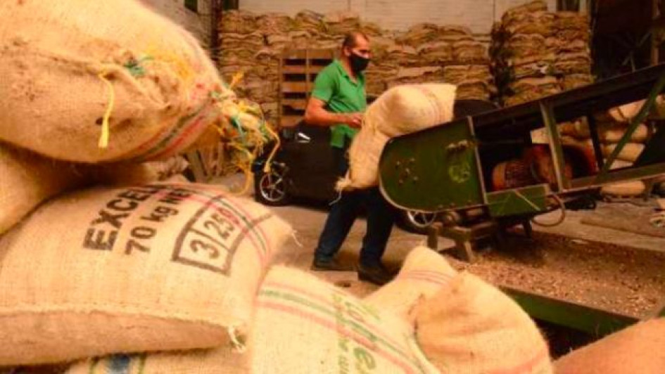 Bultos de café dentro de una cooperativa de café