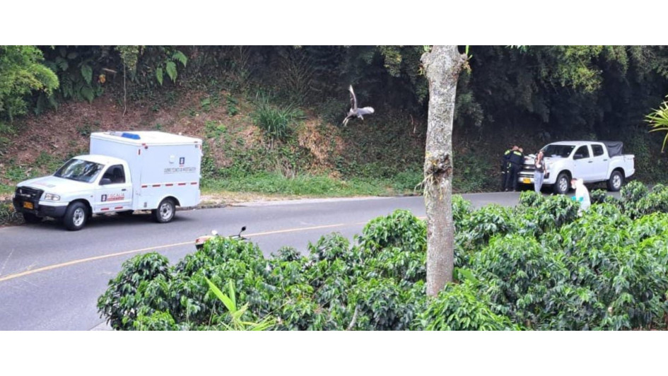 El cadáver fue hallado en la vereda Curazao de Palestina (Caldas).