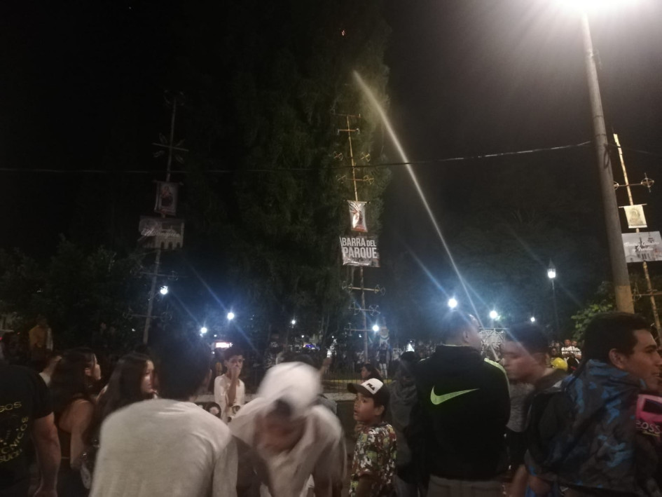 Labor de los organismos de socorro para sofocar las llamas en la araucaria.