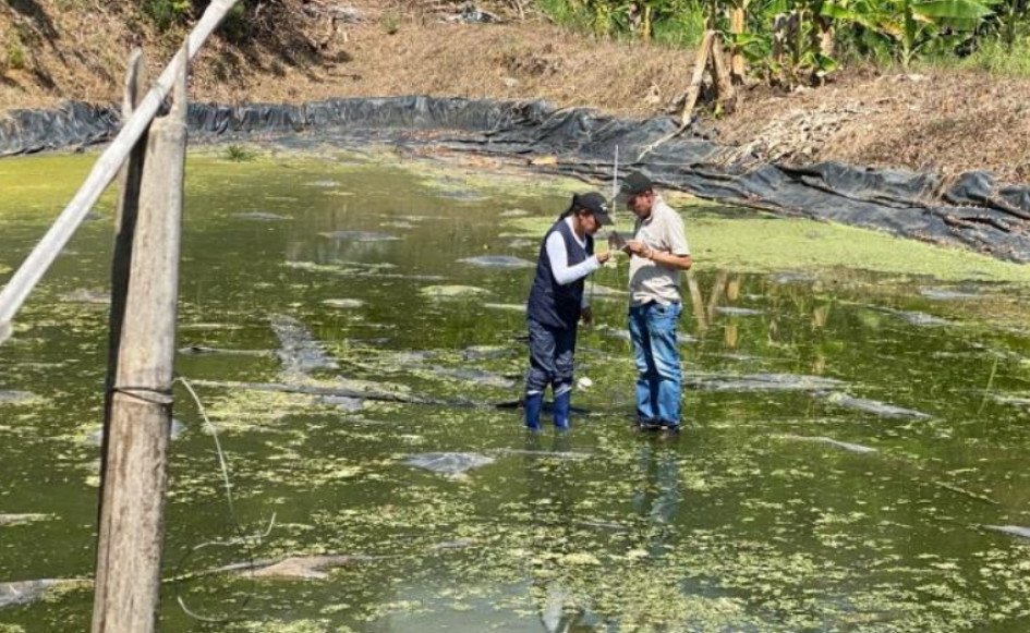 Actividades del l equipo de Enfermedades Transmitidas por Vectores (ETV) de la Dirección Territorial de Salud de Caldas en el resguardo indígena Totumal (Belalcázar).