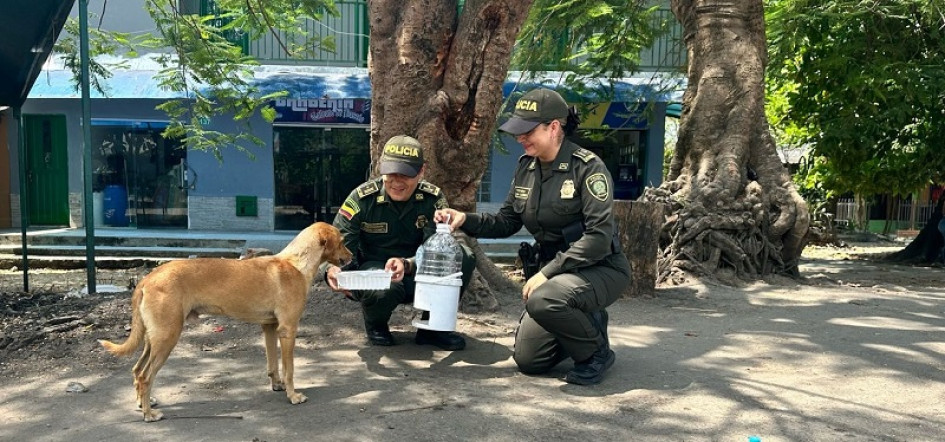 Los policías instalaron los bebederos en distintos puntos de La Dorada, con la colaboración de comerciantes.