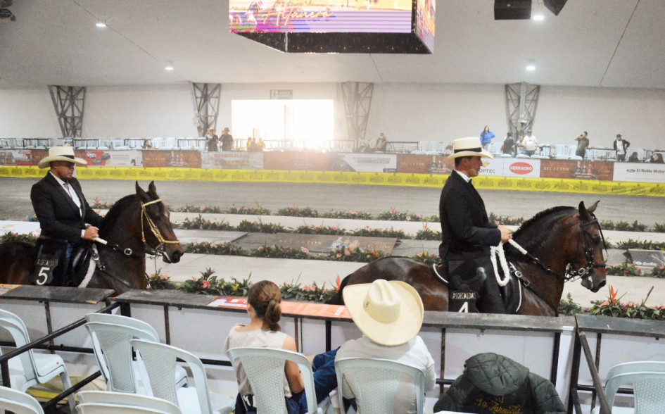 La yegua Sonsoneña de J.C. (a la derecha) en la competencia.