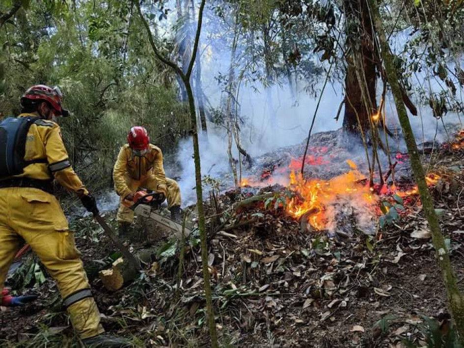 Esta fue una zona afectada por el incendio.