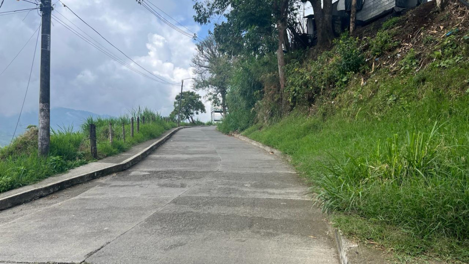 Foto | Albeiro Rudas | LA PATRIA El crecimiento de la maleza cubre los senderos peatonales.