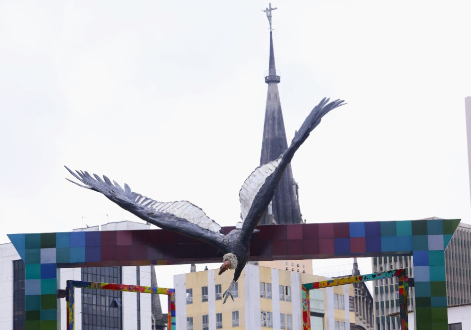 El Cóndor Baja, obra del maestro Luis Guillermo Vallejo, es la última escultura puesta en Manizales para resaltar las aves y la biodiversidad del municipio. En la ciudad hay 10 monumentos más ubicados en avenidas y parques.