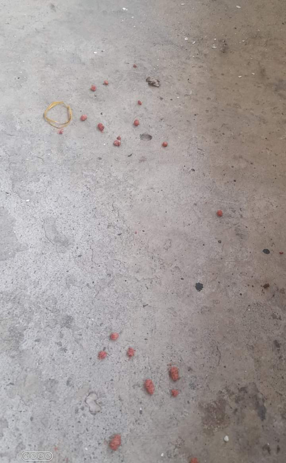 Lo hallado en el piso.