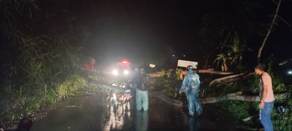 Árbol cayó sobre la vía a la vereda Manzanares (Manizales).