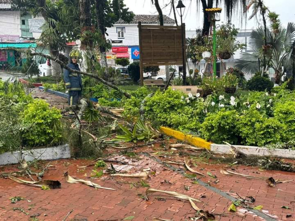 Árboles que cayeron en el parque de Filadelfia.