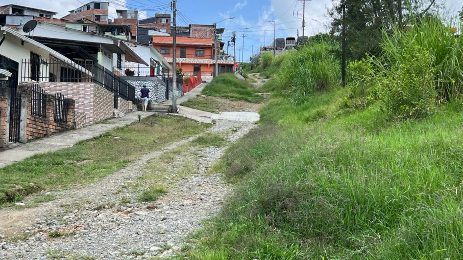 Foto | Albeiro Rudas | LA PATRIA  En la vía no transitan vehículos, permanece abandonada y el pasto se apoderó del tramo.