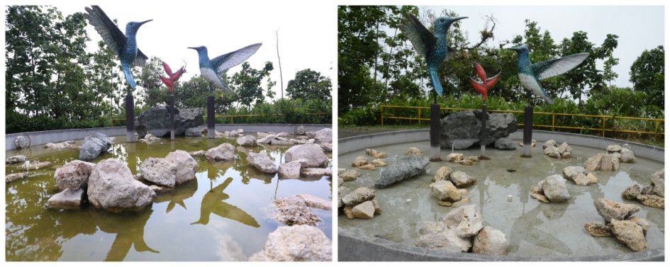 A la izquierda, el aspecto de la fuente en febrero, con coloraciones verdes en el agua. Ahora, la fuente está limpia (derecha).