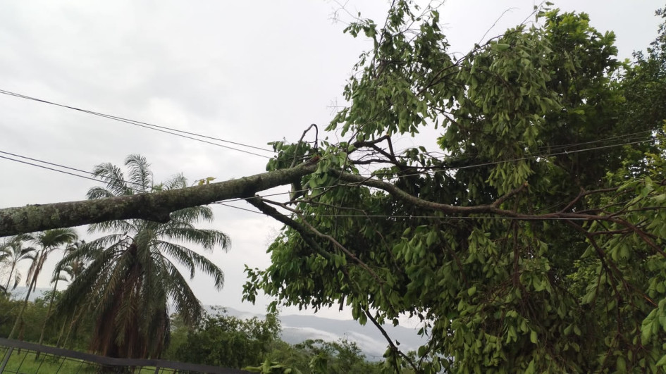 Según el gobernador, Henry Gutiérrez, el 80% de la población viterbeña se quedó sin energía.