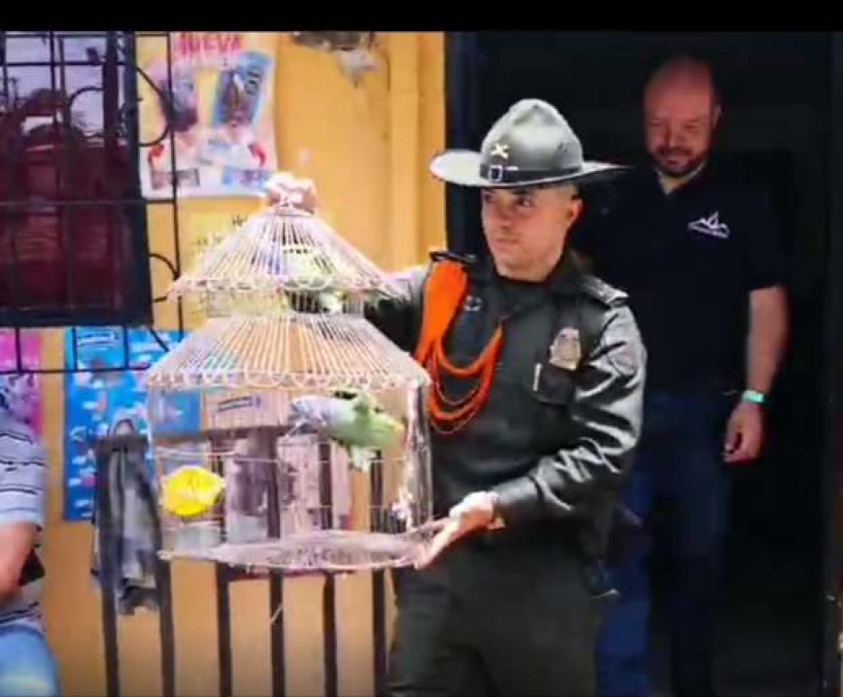 En Viterbo recuperaron dos loras chejas.