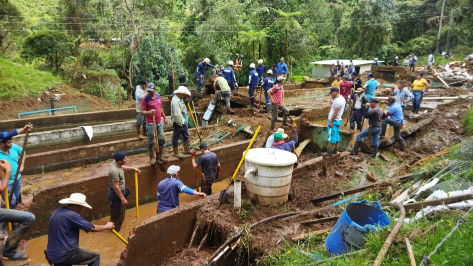 Pese a la inclemencia de la lluvia, la comunidad de la vereda La Antioqueña de Riosucio continúa buscando el cuerpo de Rodrigo Morales.