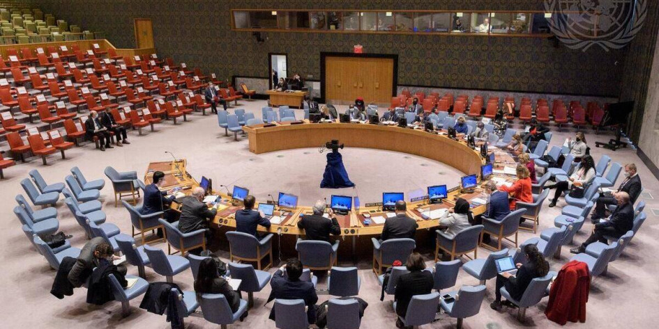 Consejo de Seguridad de la Organización de las Naciones Unidas.