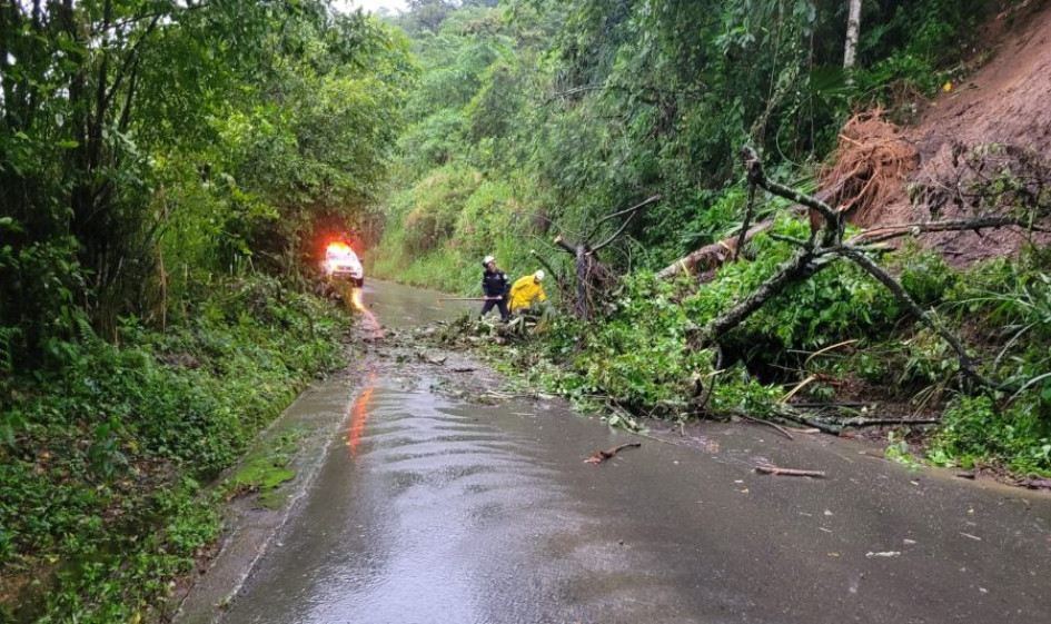En el municipio de San José (Caldas) deslizamientos ocasionaron cierre de vías. 