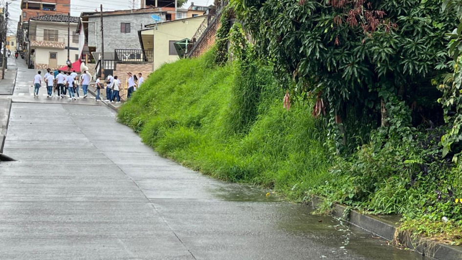 El pasto y la maleza se tomó el sendero peatonal.