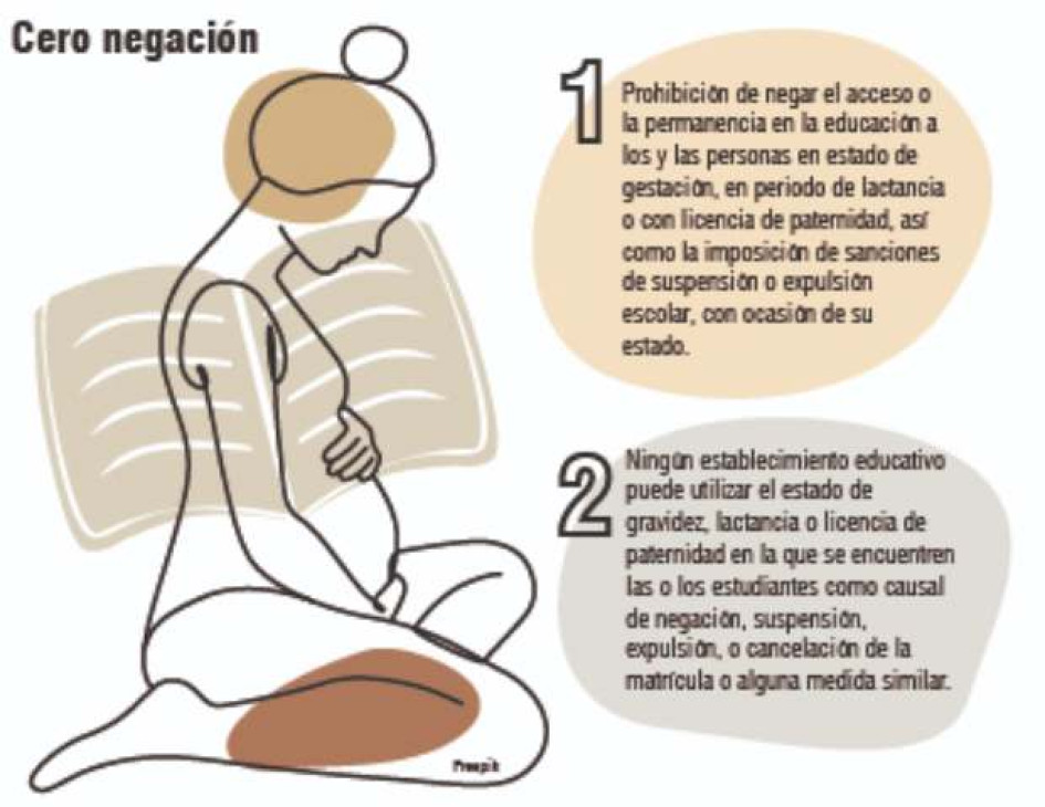Con la Ley para gestantes, aprobada por el Congreso de Colombia el jueves pasado, se busca proteger a las estudiantes en este estado, en universidades y colegios, sean públicos o sean privados.