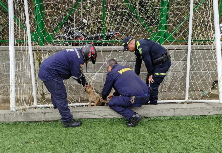 Bomberos y Policía ayudaron al perrito que estaba enredado en la malla de una portería. 