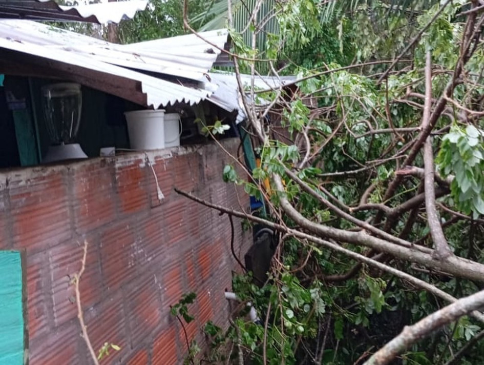 Así quedó una de las ocho casas en La Dorada luego de que un vendaval provocó la caída de un árbol.
