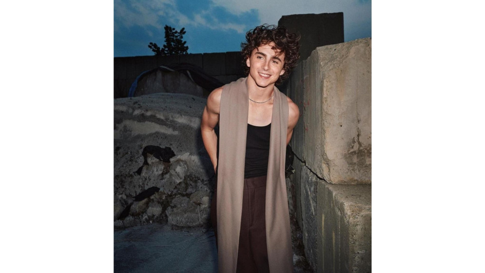 El actor Timothée Chalamet.