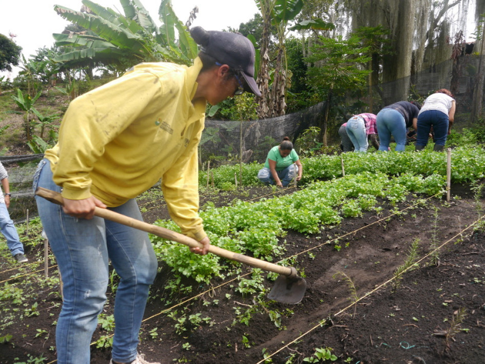 El programa espera beneficiar a unas 600 personas de 12 municipios.
