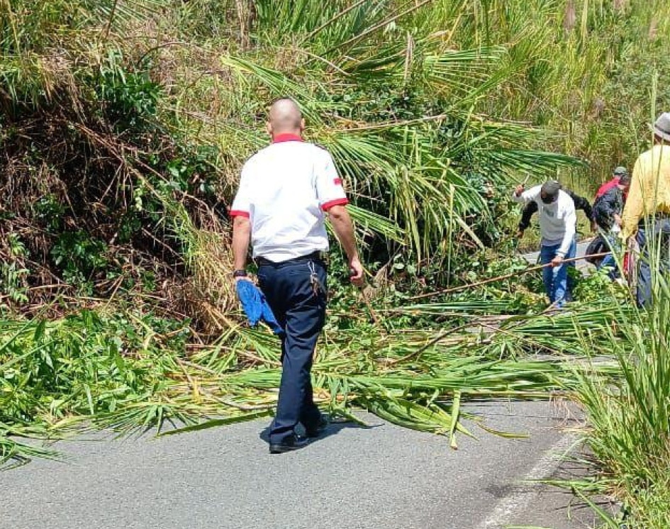 El deslizamiento en la Troncal de Occidente cerró por varias horas la comunicación entre Anserma y Pereira.