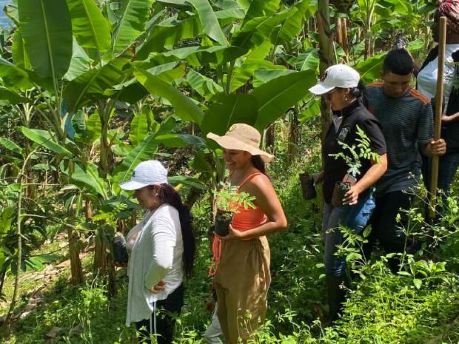 Foto I Facebook Alcaldía I LA PATRIA  Grupo de participantes en la jornada de reforestación de la cuenca de la quebrada que abastece a comunidades de la vereda La Primavera. Los alumnos sembraron en las ladereras contiguas a la fuente de agua.