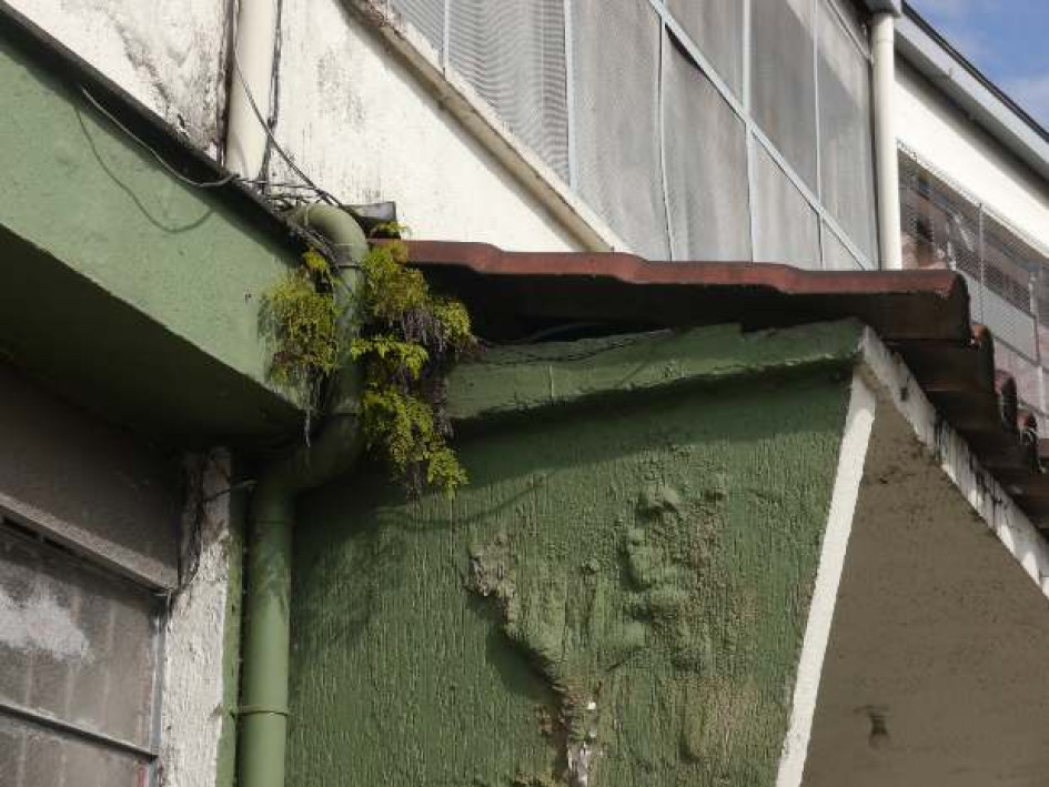 En el colegio Gerardo Arias Ramírez, de Villamaría, alumnos se quejan por el mal estado de paredes, unidades sanitarias y techos.