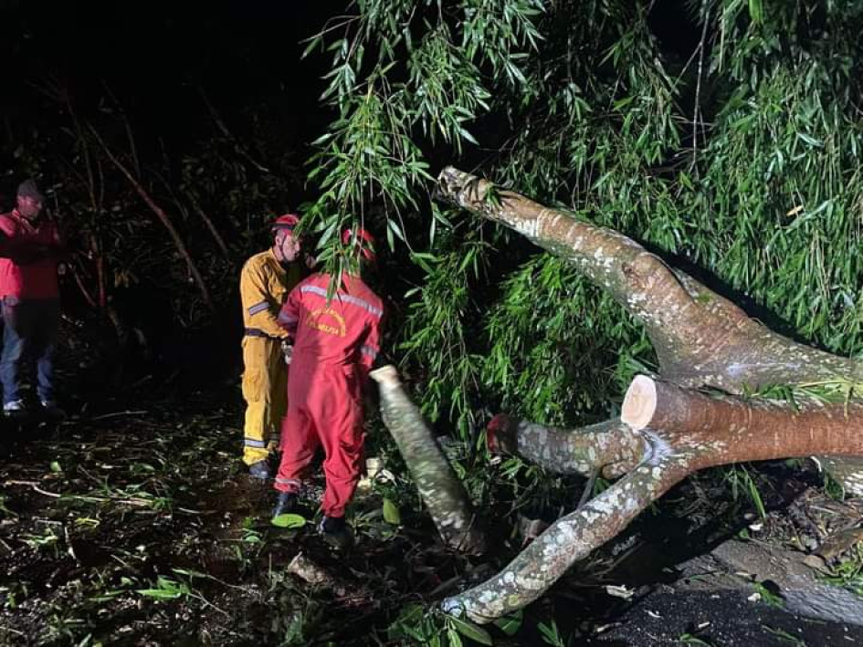 El Cuerpo de Bomberos de Filadelfia atendió la emergencia y despejó la vía para la normalidad del tránsito de vehículos.