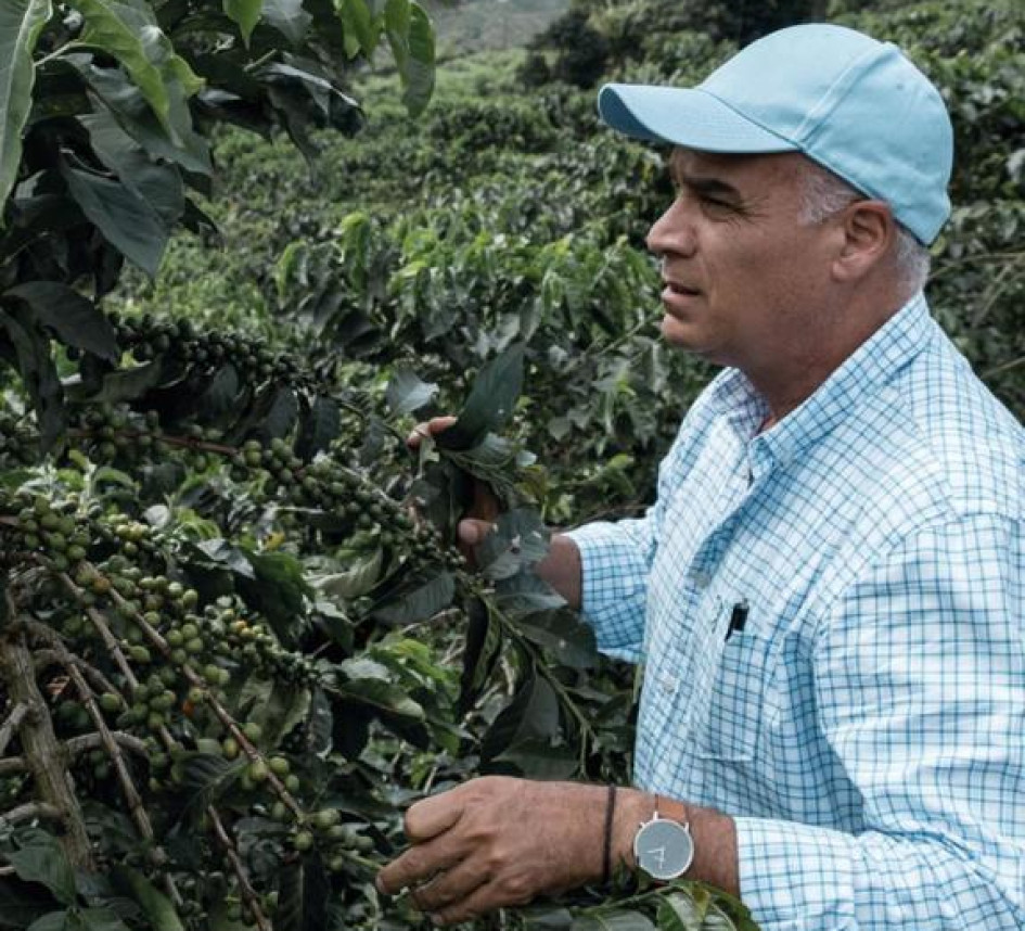 Carlos Felipe Hoyos Zuluaga, productor y delegado al Comité de Cafeteros de Caldas.