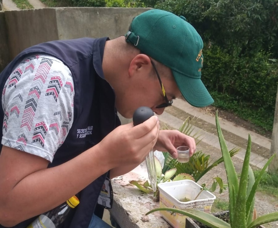 Hay 2462 casos notificados de dengue en Dosquebradas