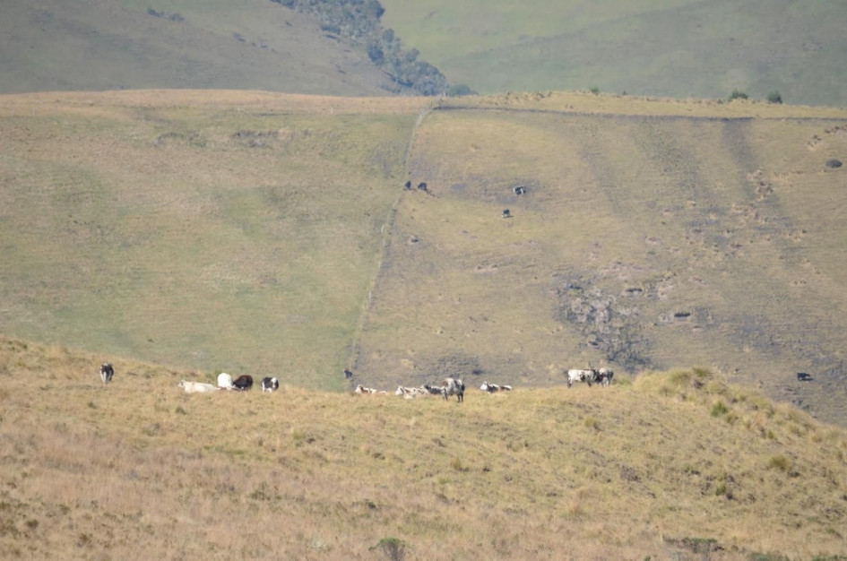 Congresistas del Eje Cafetero le envían carta a Petro pidiéndole explicaciones sobre el PNN Los Nevados