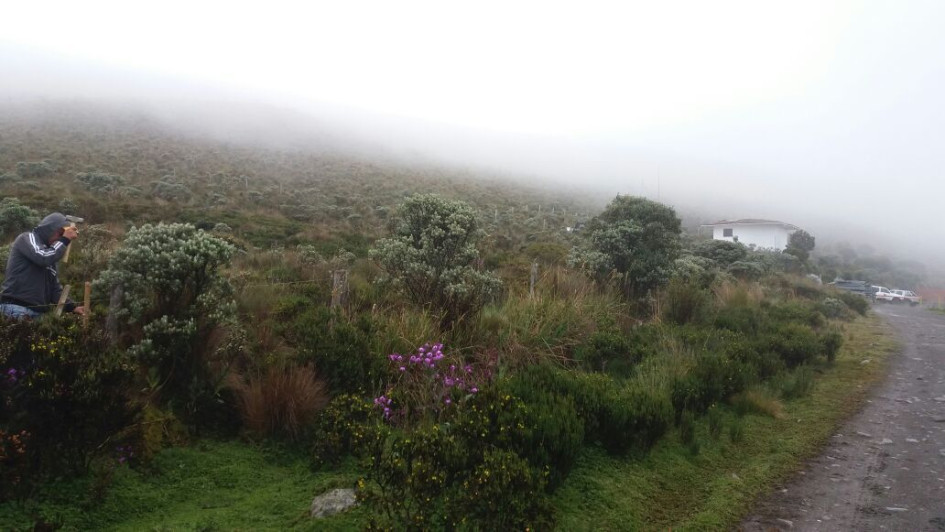 La ANT no comprará predios en el PNN Los Nevados ni en su zona de influencia en los predios entre Villamaría (Caldas) y Santa Rosa de Cabal (Risaralda). 