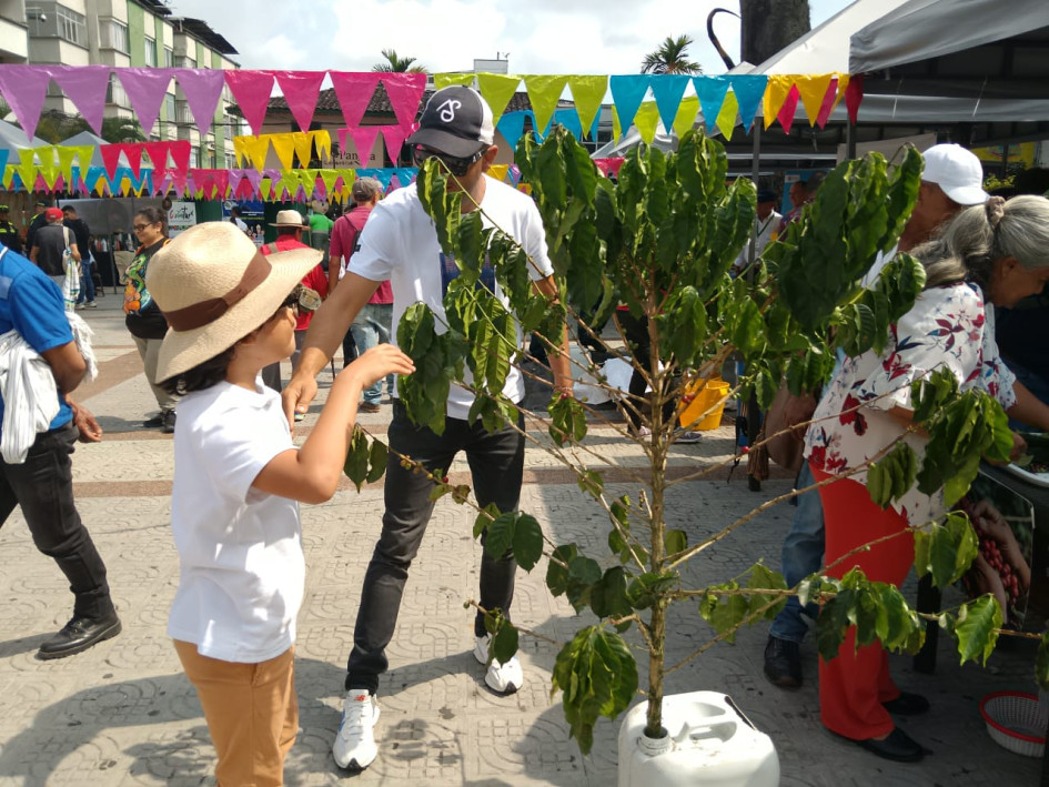Los recolectores de café recogieron diversión en el Parque de Bolívar de Chinchiná, municipio que el pasado fin de semana celebró la Feria del Recolector.