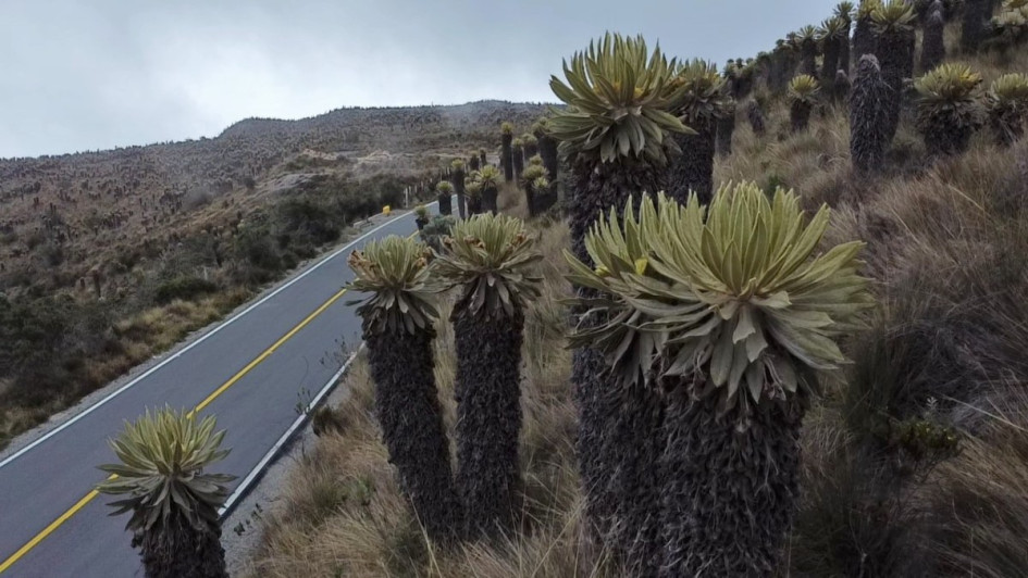 Este fin semana comienza la implementación del pico y placa ambiental en la vía Manizales - Murillo.
