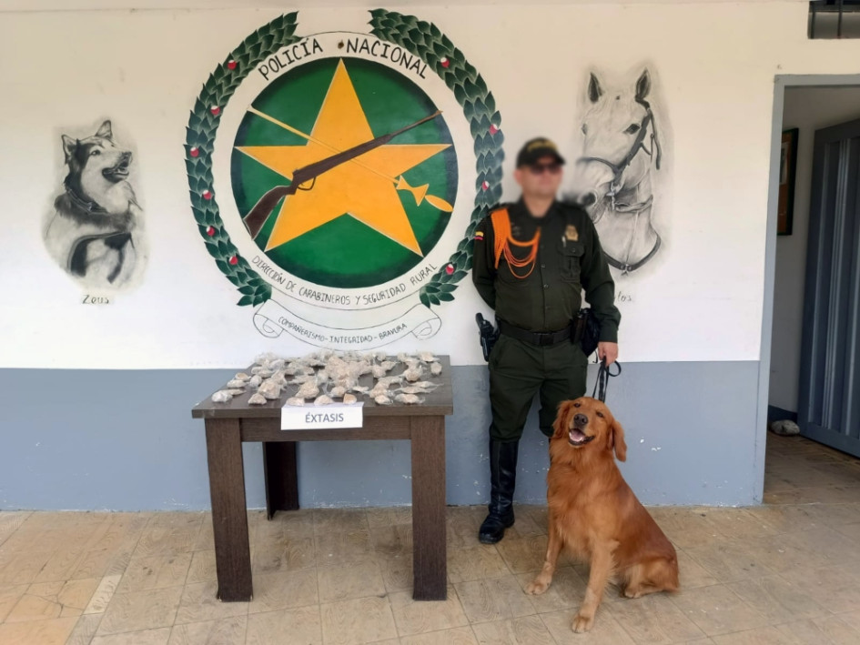 Incautan 2 mil gramos de éxtasis en Dosquebradas 