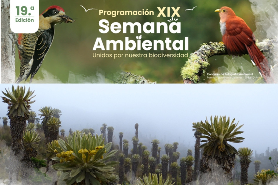 Semana Ambiental de Corpocaldas