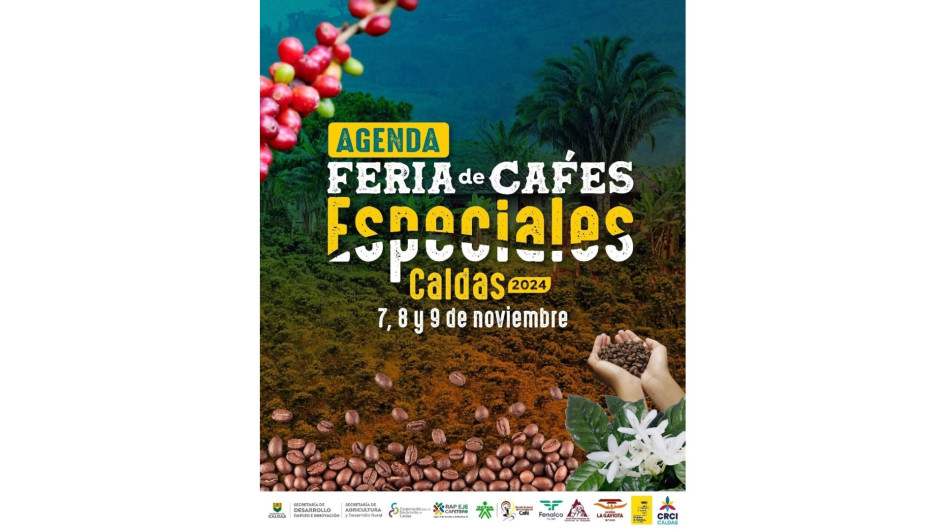 Chinchiná se prepara para premiar este sábado el Primer Concurso Departamental de cafés tostados y el Tercer Concurso de pergamino seco. En el de tostados participarán 271 muestras de 25 municipios productores del grano. Ese mismo día el vecino municipio de Palestina escogerá sus mejores granos de entre 22 productores de café.