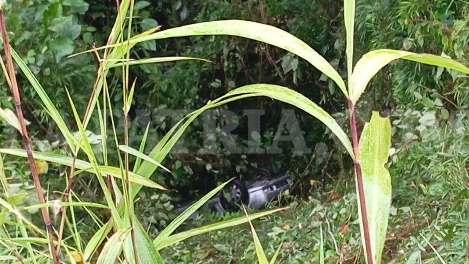 El carro accidentado se movilizaba entre Riosucio y Anserma.