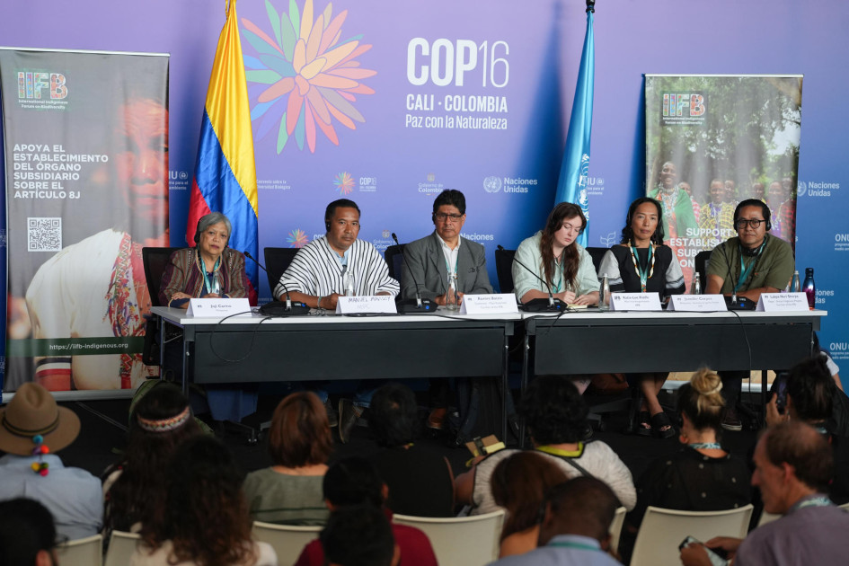 Indígenas de la COP16