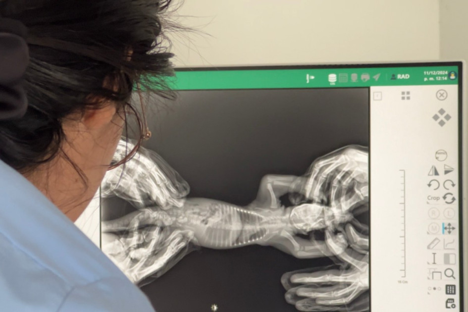 Aris Mining le entregó a Corpocaldas un equipo de Rayos X, equipos para análisis de sangre y para análisis químicos para fauna silvestre.